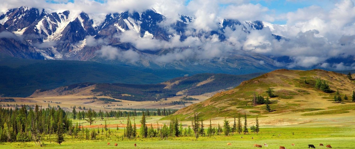 трактор кыргызстан купить трактор кыргызстан купить