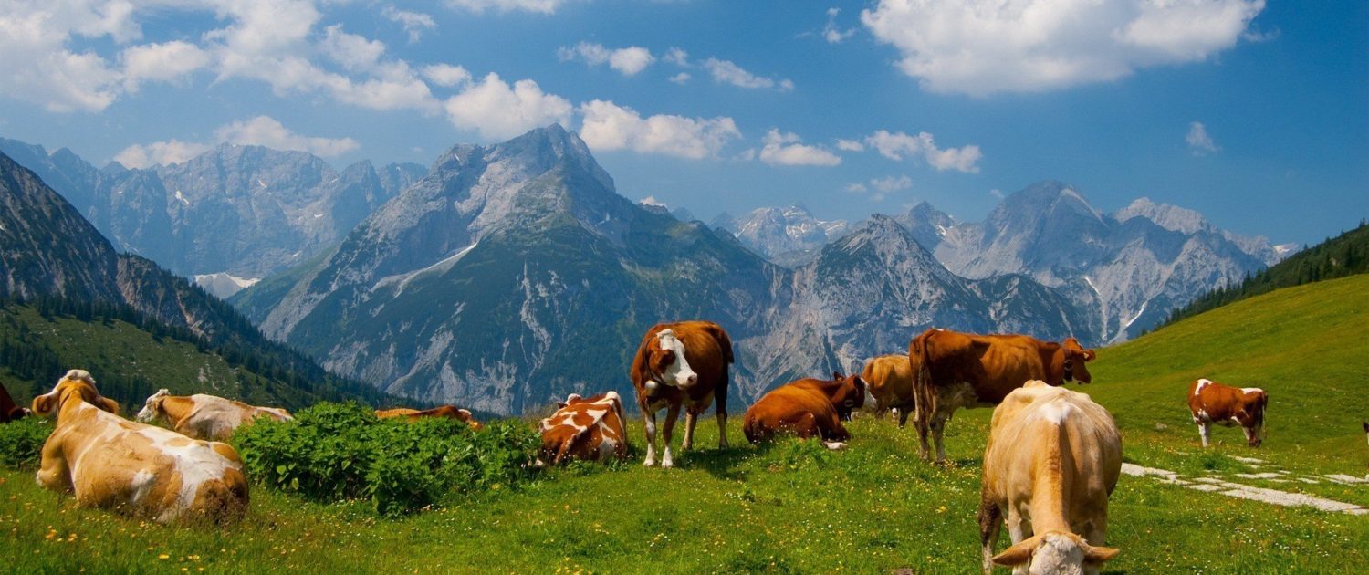 трактор кыргызстан купить трактор кыргызстан купить