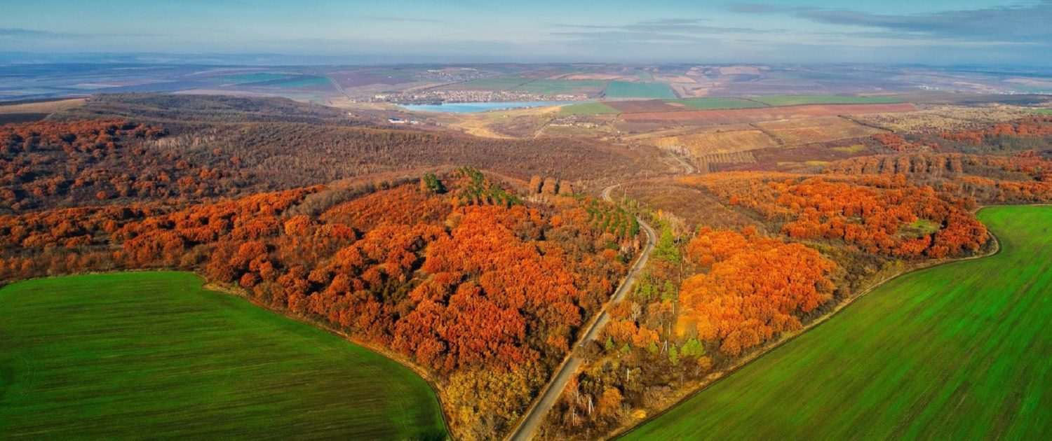 купить погрузчик в молдове